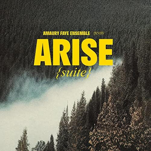 ARISE - Amaury FAYE ARISE - Amaury FAYE